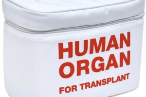 Much ado about human organs and their harvesting